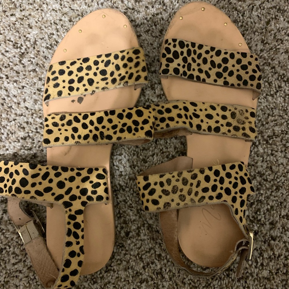 Matisse Owen Flat Sandal Leopard 7M